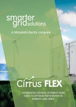 Cirrus Flex Brochure cover